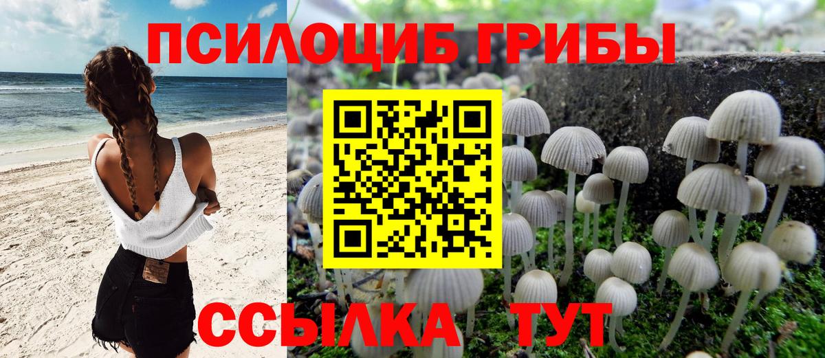 Богородицк  закладка  Вход с VPN  Псилоцибиновые грибы мухоморы 